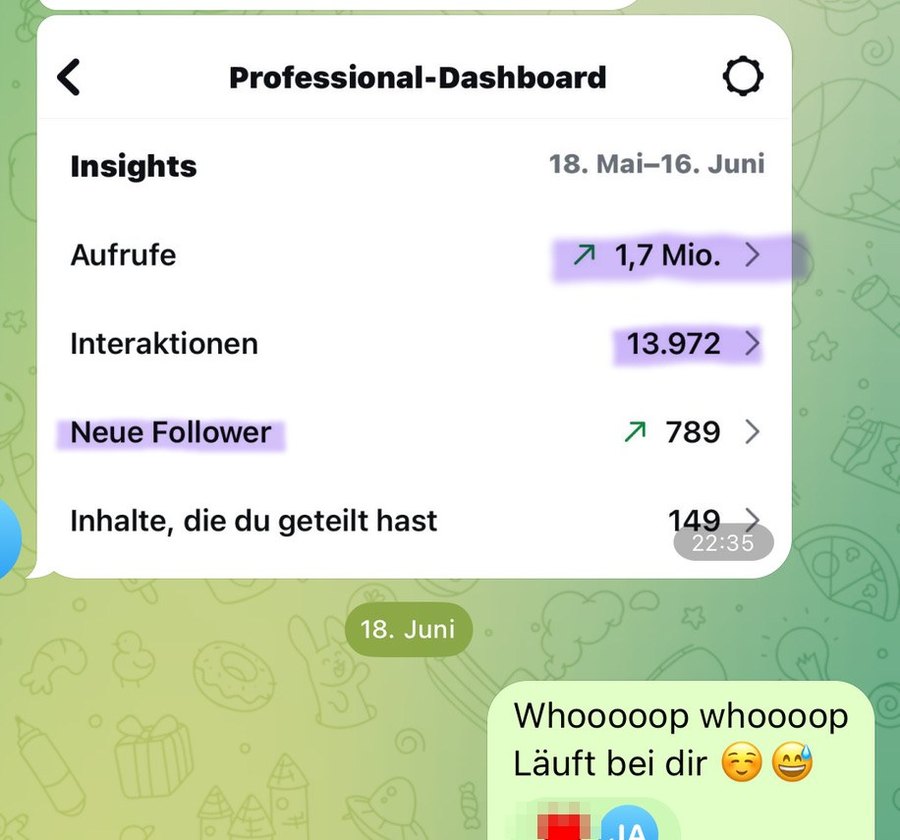 Instagram-Statistik einer Kundin: 1,7 Millionen Aufrufe