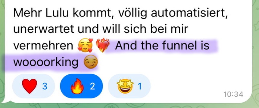 Nachricht einer Kundin: völlig automatisiert, the funnel is working